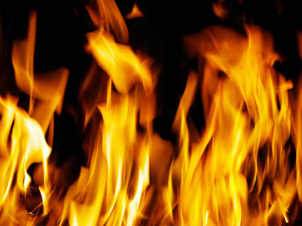 Пожар с щети в пекарна за ядки