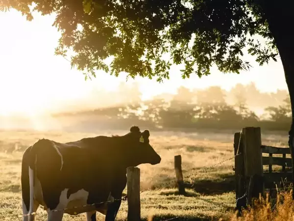 Фермерите са доволни за договореното изплащане на украинската помощ