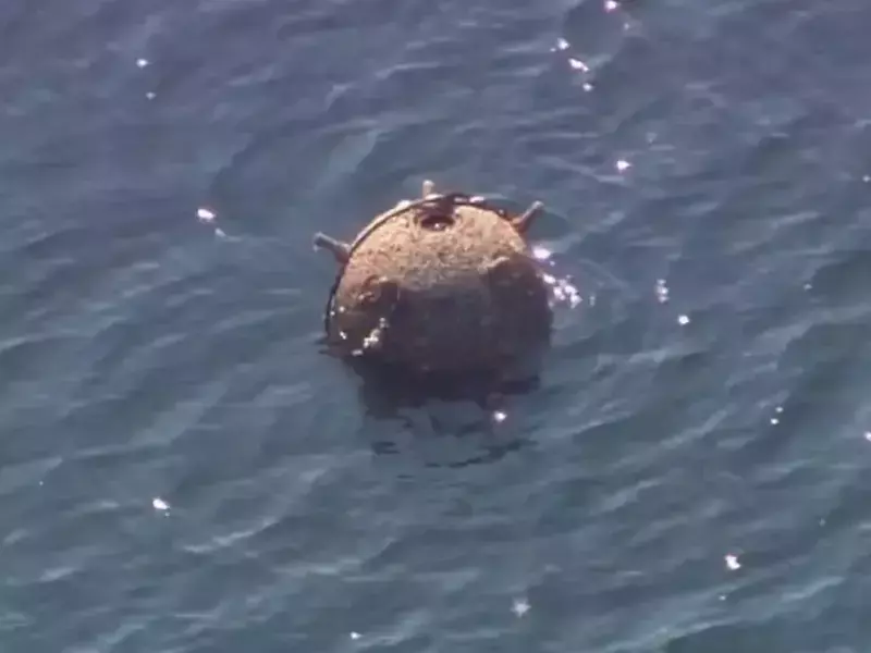 Корабоплаването по делтата на Дунав беше възобновено след отстраняването на мина от Втората световна война                                             