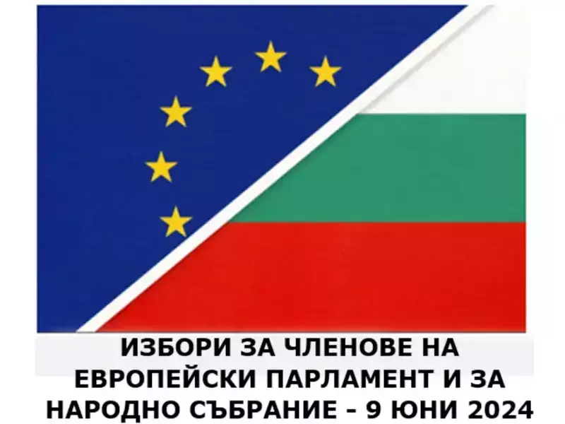 Порой от кандидати в Силистра за място в парламента