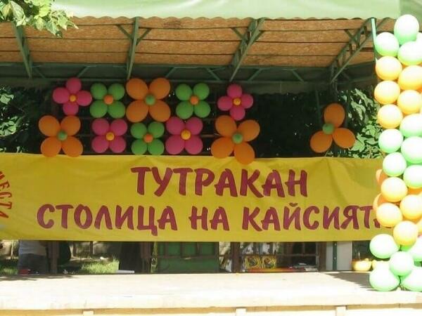 Тутракан - столица на кайсията