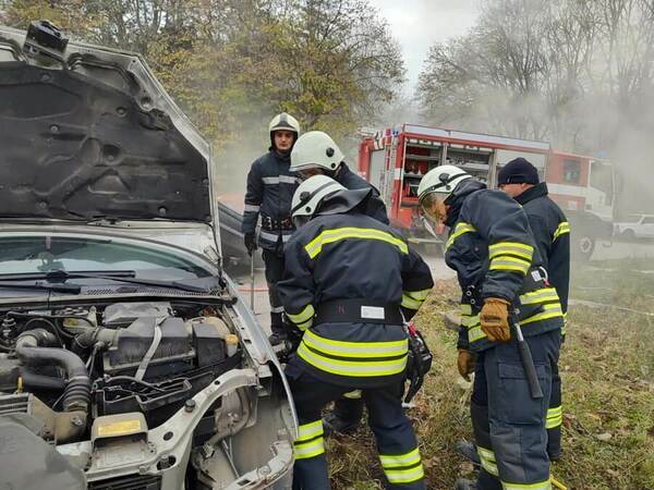 Учение за реакция при бедствие