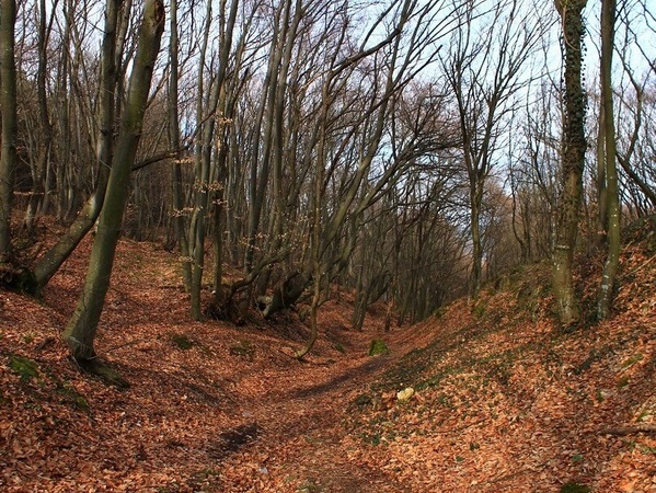 Дъжд и температури от минус 3° до 30° през месеца