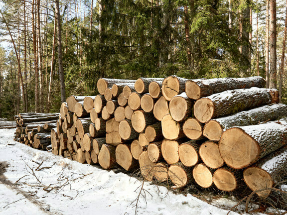 Приемат заявки за дърва за следващата зима