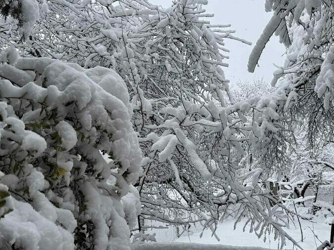 Оранжев код за снеговалежи
