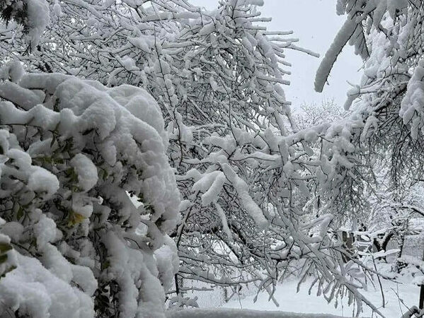 Изпращаме най-студения февруари от 2013 г. насам