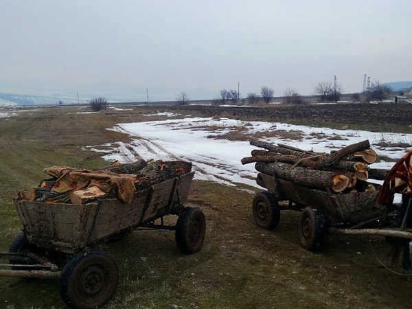 79 нарушения в горите за месец