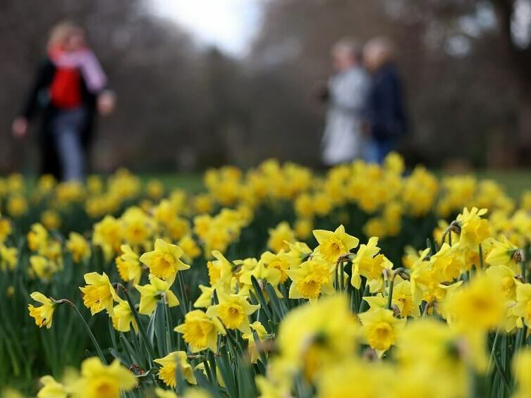 Астрономическата пролет идва с температури до 12°