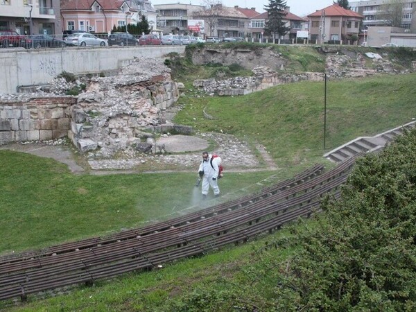 Пръскат против кърлежи и бълхи