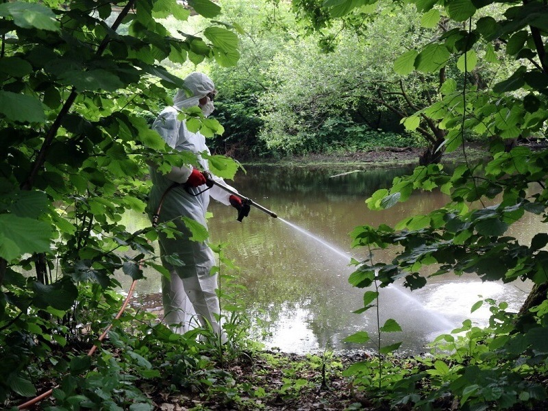 Дунавски общини искат старт на пръскането срещу комари