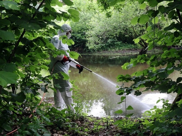 Дунавски общини искат старт на пръскането срещу комари