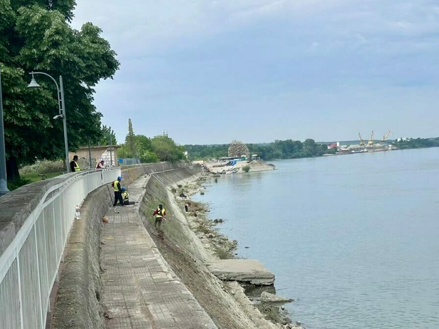 Почистват дигата на река Дунав