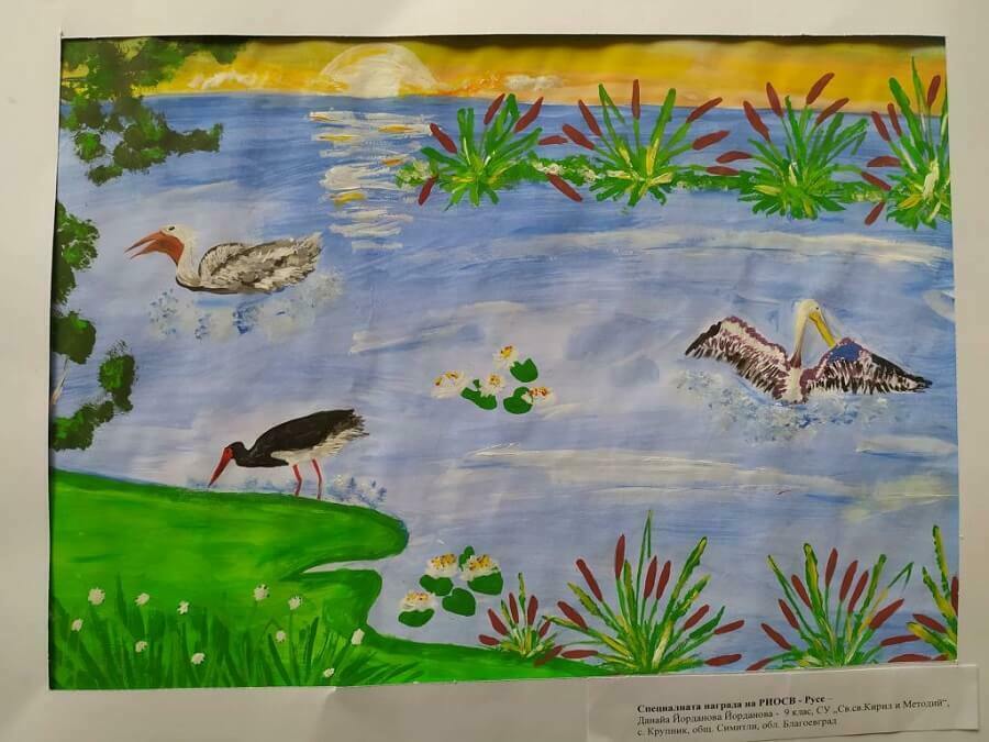 Започва Международният екофорум „Сребърна“