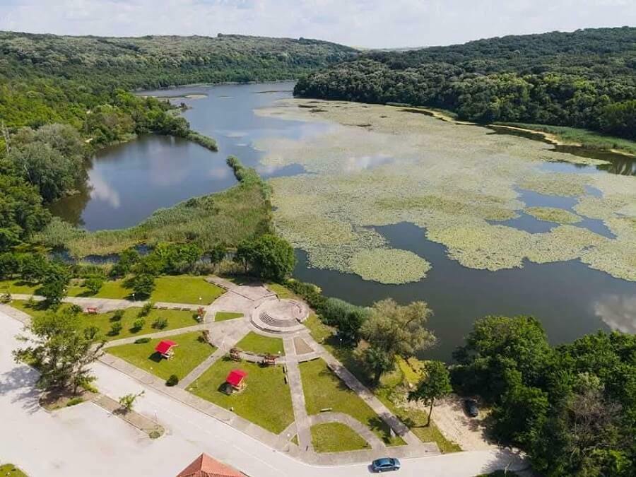 Празник на водните лилии