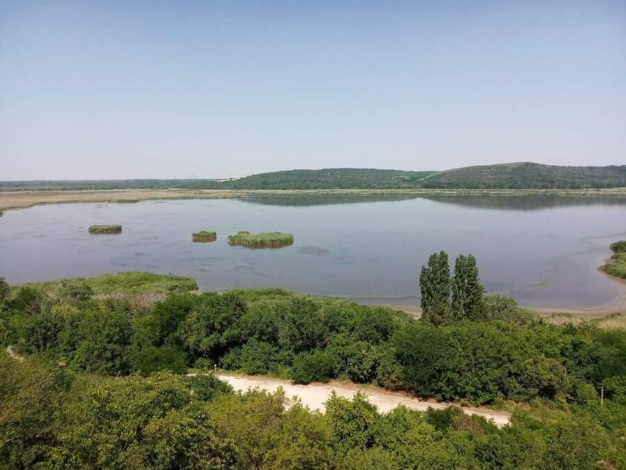 Проучват карстовите извори в резервата „Сребърна“