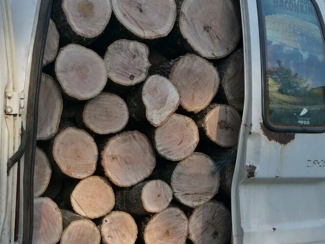 По-малко проверки в горите