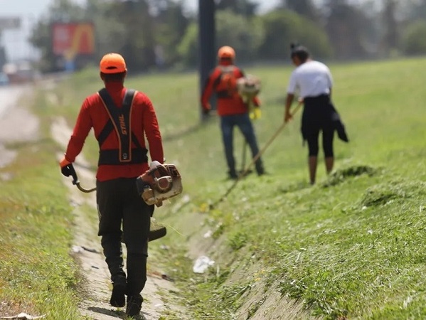 Забрана за косене в пожароопасния сезон