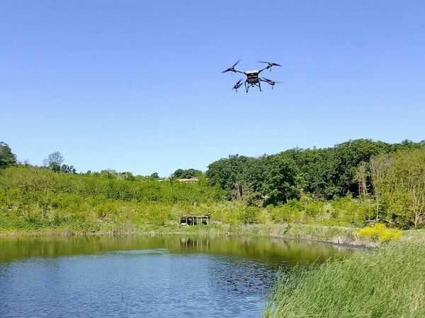 Пръскания срещу комари