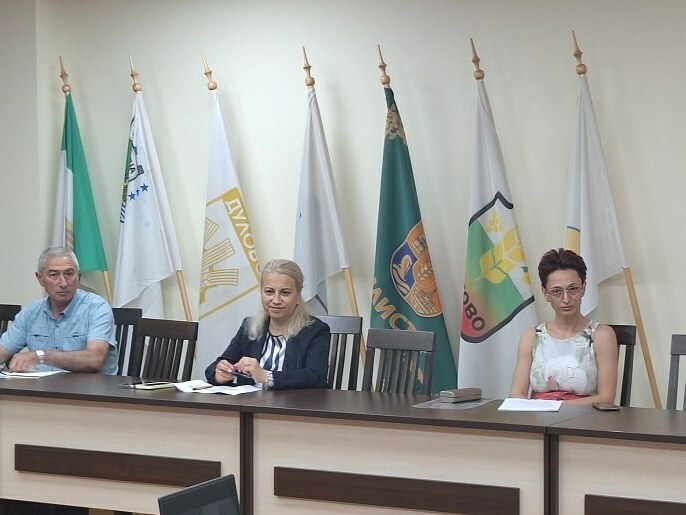 Увеличават се загиналите и ранените на пътя