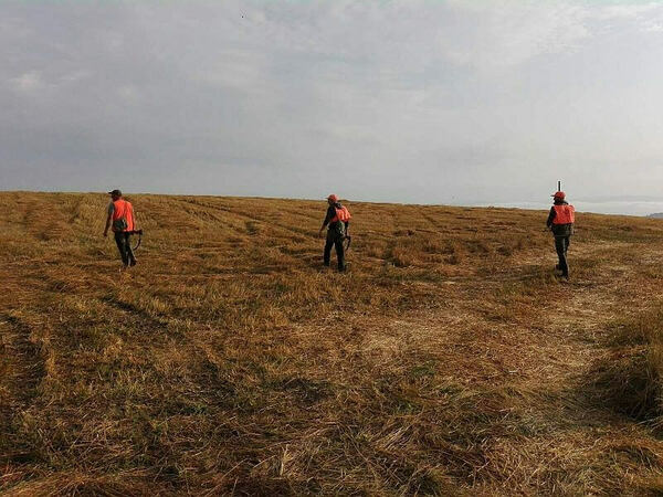 Открива се ловът на пернат дивеч