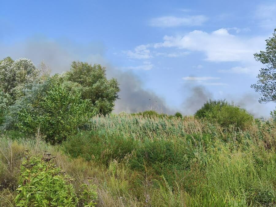 Нов пожар в защитената местност „Калимок – Бръшлен“