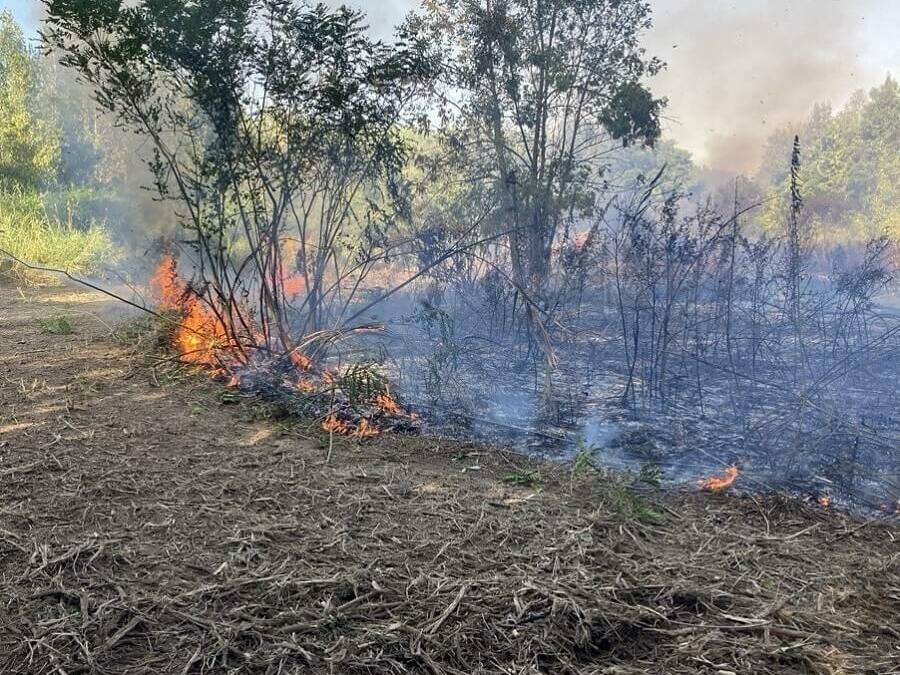 Над 1000 дка гори засегнати от пожари