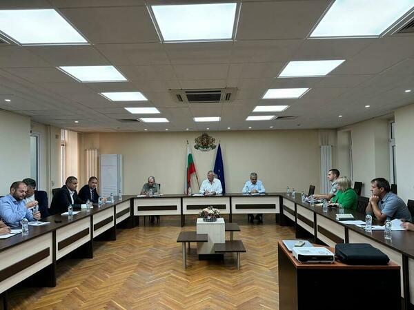 Над 9000 дървета пречат на електропроводи