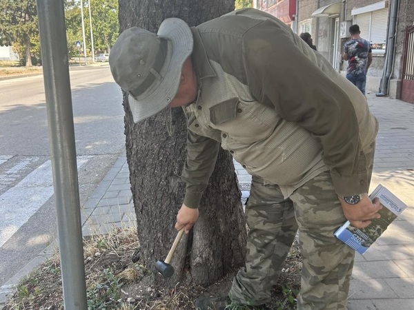 Всяко дърво в Силистра – с паспорт