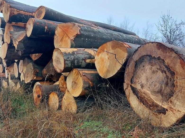 Дърва за огрев от горските стопанства