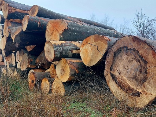 Дърва за огрев от горските стопанства