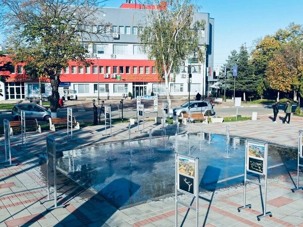 Празнична седмица на Главиница