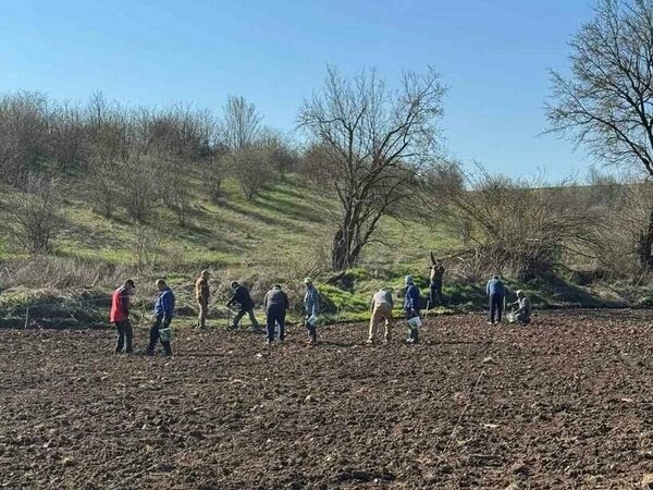 Нова гора край село Орешене