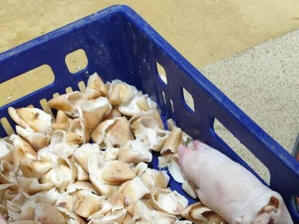 Унищожават над 3,5 тона храни в Дулово